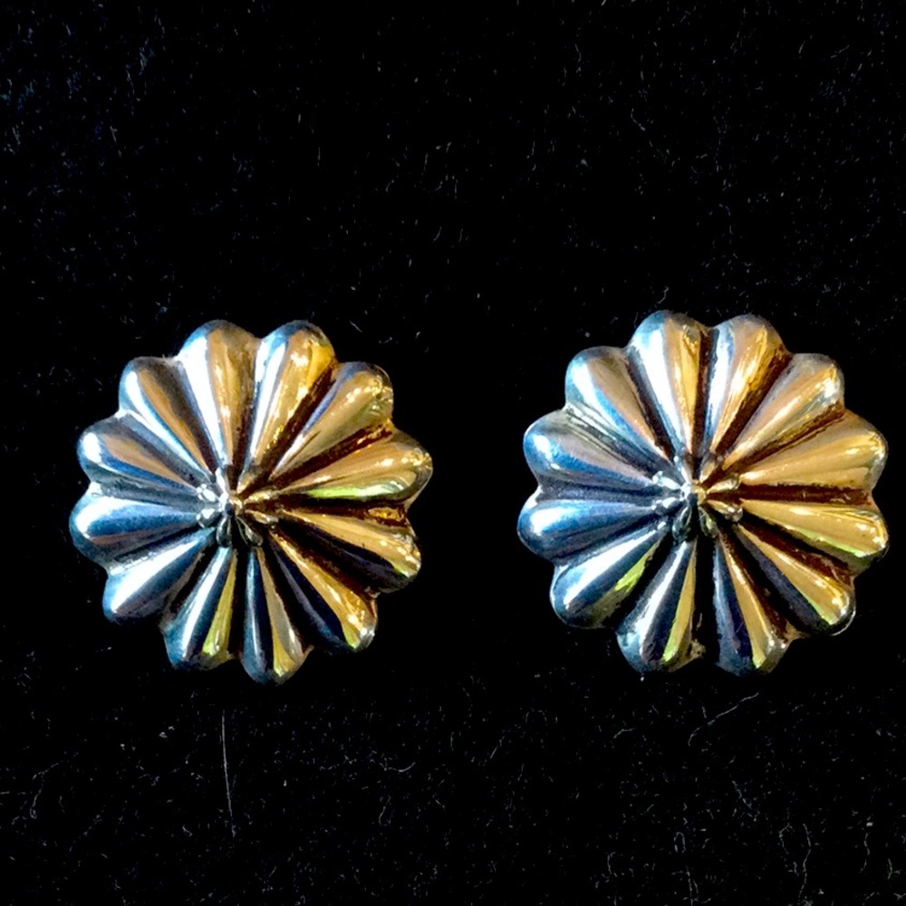 Allison Snowhawk Lee Silver Earrings